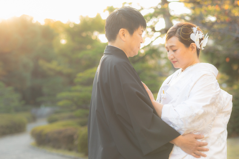 柔らかい光の中で