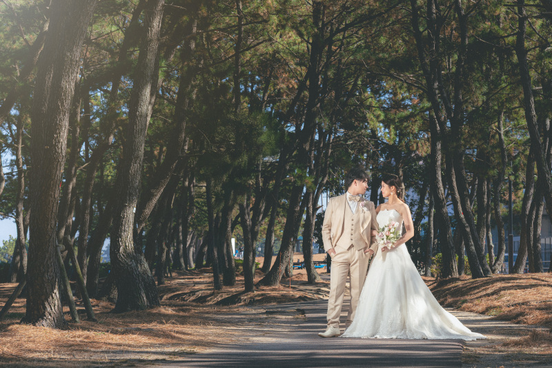 雰囲気ある木漏れ日の並木道