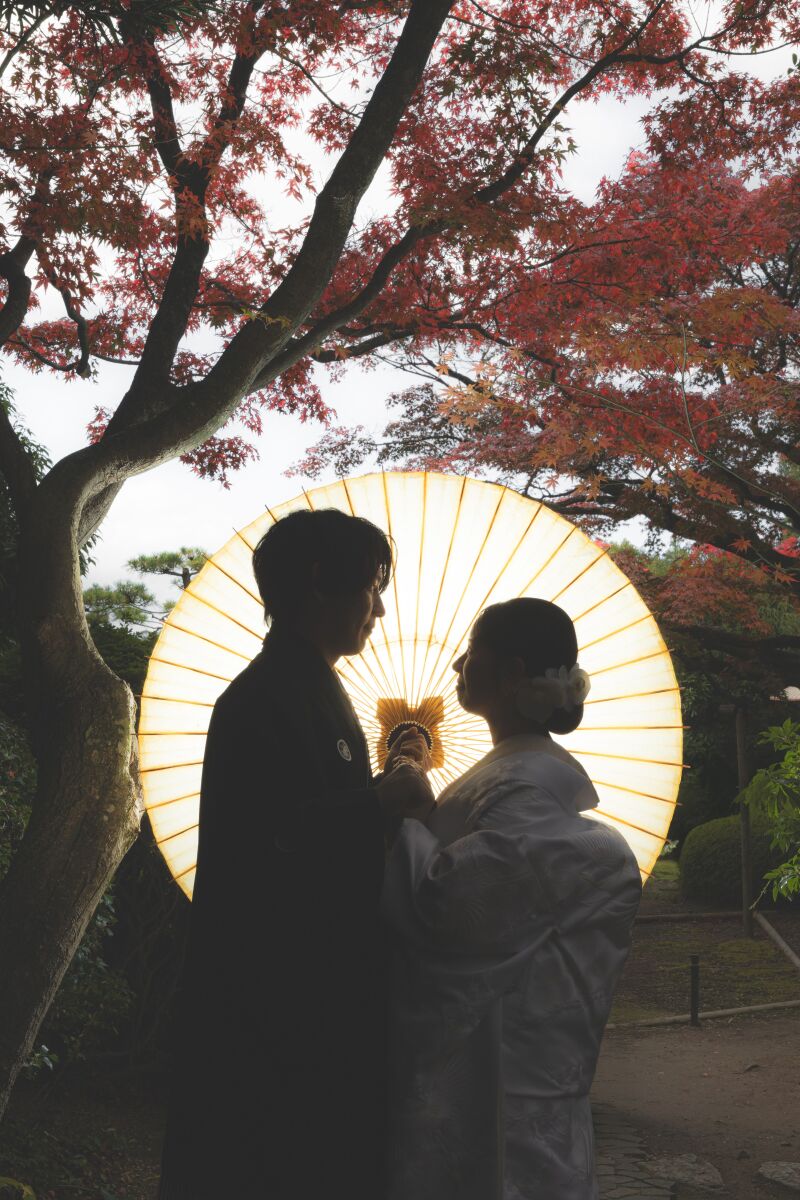 シルエット写真