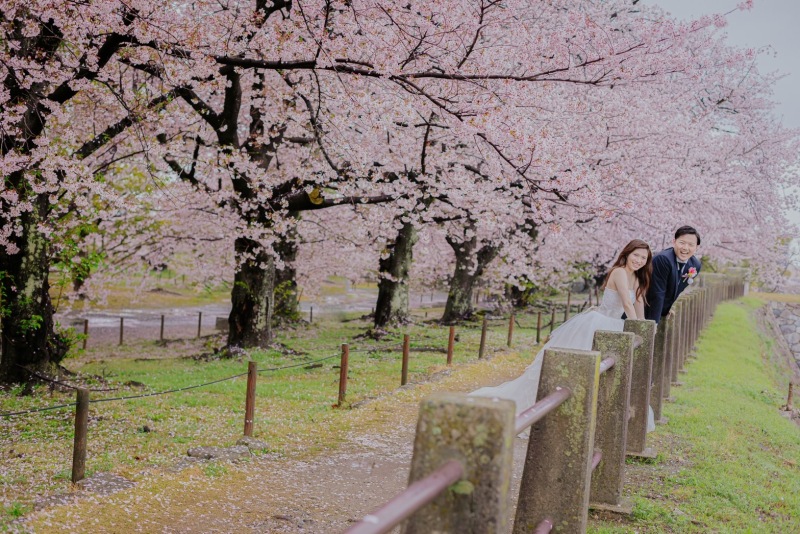 桜シーズンのご予約受付中