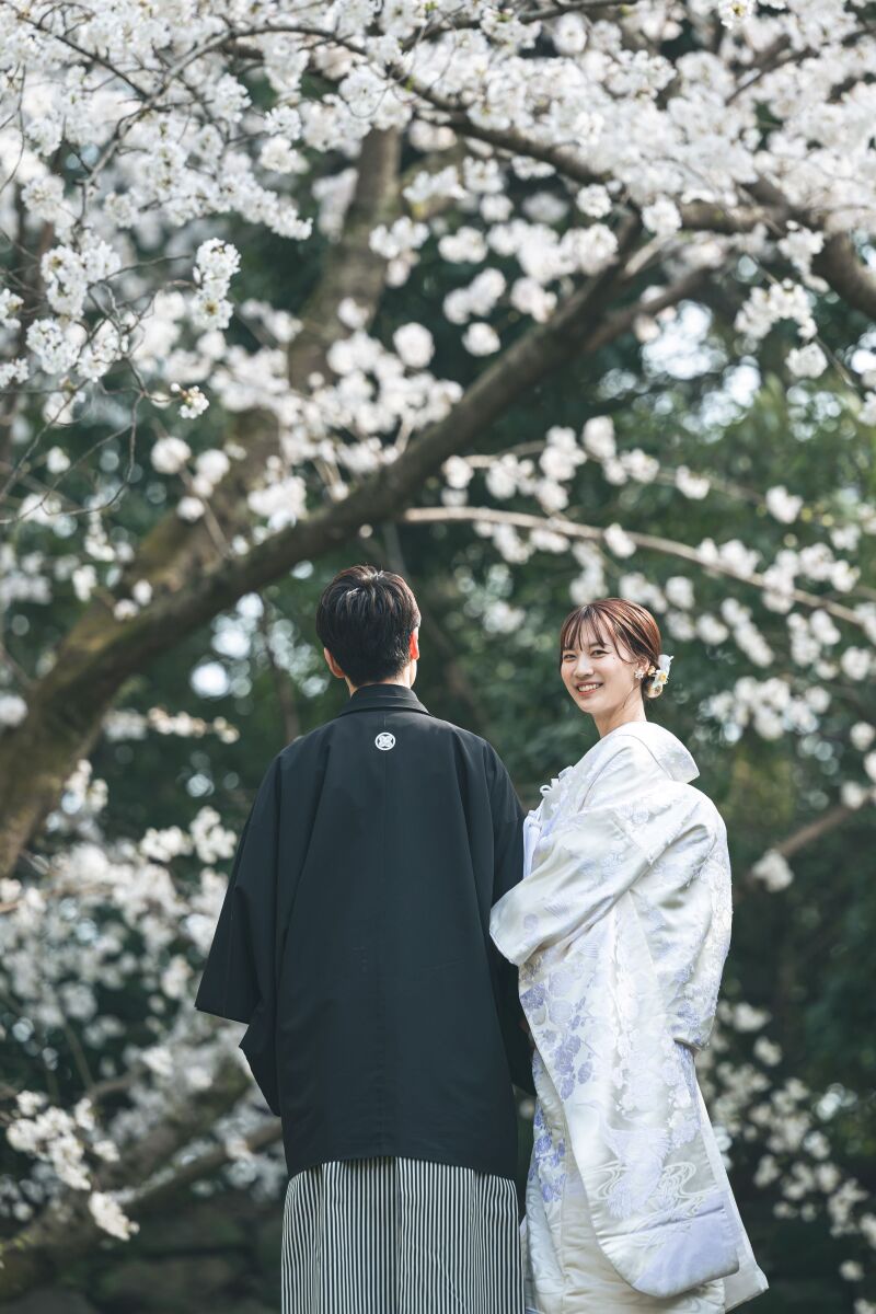 豊富な撮影実績