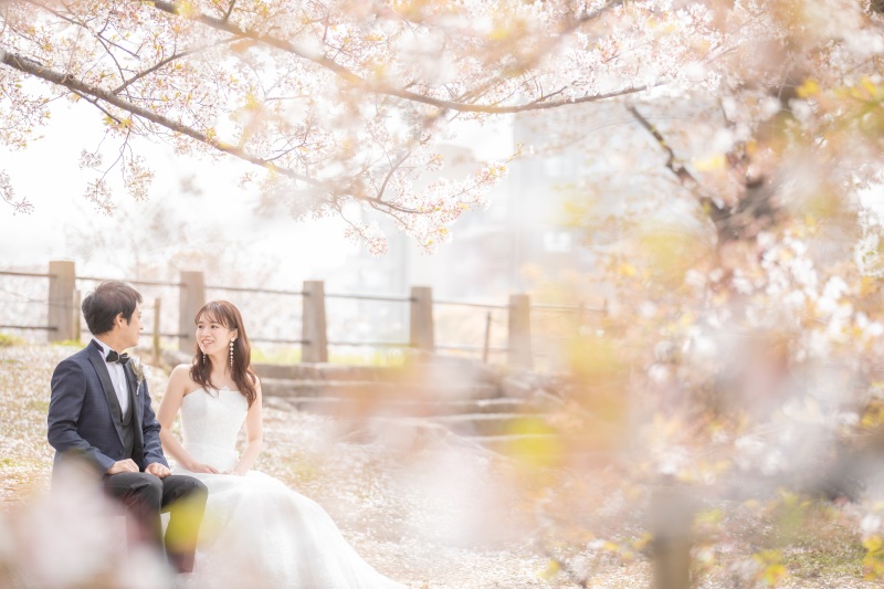 満開の桜の下で