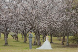 ワタベウェディング福岡フォトスタジオ_自然と残す洋装ロケ（公園や植物園での緑溢れる洋装撮影）