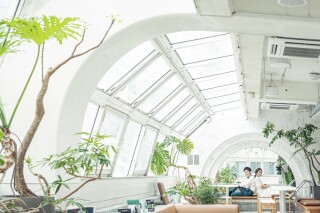 硬い光や柔らかい光、二人の雰囲気に合う写真を撮影していきます