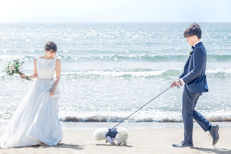 今だけ３万OFF！【ももち海浜公園】洋装フォトプラン（衣裳1着）新婦ヘアメイク＋着付＋衣裳小物＋髪飾り＋全データ150カット納品