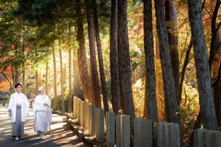 今だけ３万OFF！【呑山観音寺】全データ付きプラン（衣裳1着）新婦ヘアメイク＋着付＋衣裳小物＋髪飾り＋全データ150カット納品