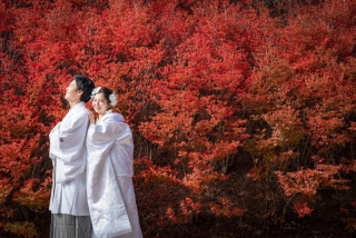 ≪シーズン料金2万円OFF≫大人気!紅葉ロケーションフォト