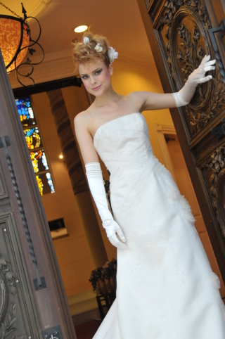 セントポーリア