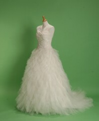 カーネーション