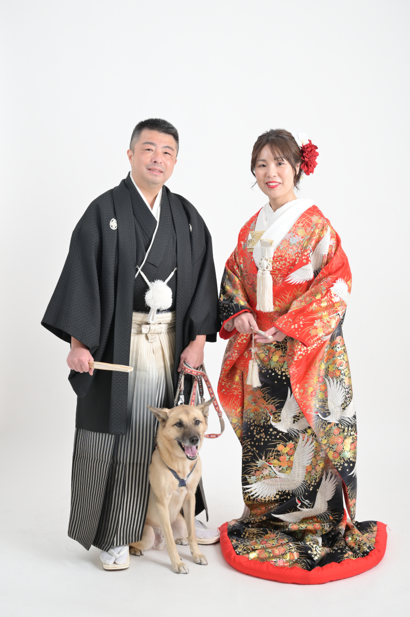ペットと和装スタジオフォトプラン♪