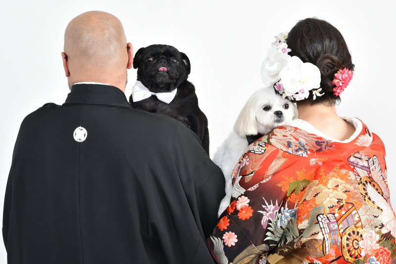 ウエディングサロンリーベルミースタジオ_ペットと一緒に撮影できる