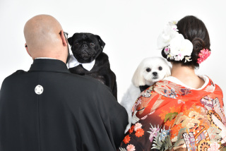 ウエディングサロンリーベルミースタジオ