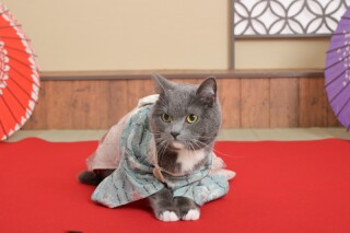 ウエディングサロンリーベルミースタジオ_和装スタジオフォトwithペット