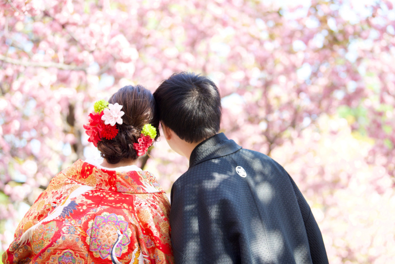 4月★春の桜フォトツアー♪【和装】ロケーションフォト　安心送迎車付き・太田黒公園（日本庭園）にて撮影　全データ100カット付き　
