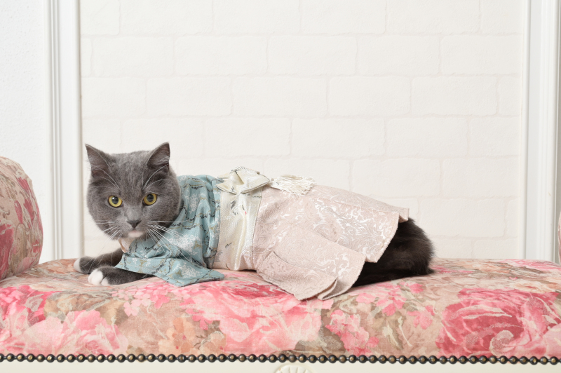 ●5月のお客様●可愛いペットと一緒に撮影。抱っこOK♪【和装】スタジオフォトプラン　打掛＆紋服　全撮影データ70カット付き　