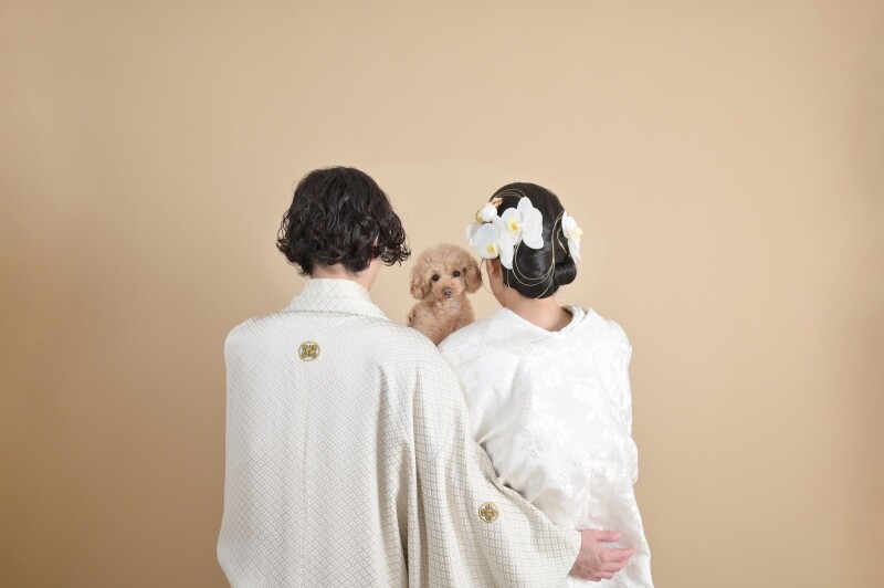 ●9・10月のお客様●可愛いペットと一緒に撮影♪【和装】スタジオフォトプラン　打掛＆紋服　全撮影データ70カット付き　