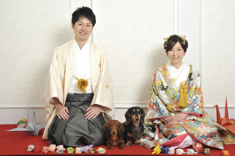 ●10・11月のお客様●可愛いペットと一緒に撮影♪【和装】スタジオフォトプラン 打掛&紋服 全撮影データ70カット付き