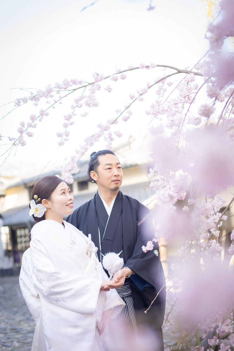 桜と和の雰囲気がマッチ