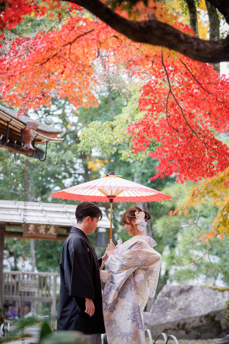 紅葉ロケーション