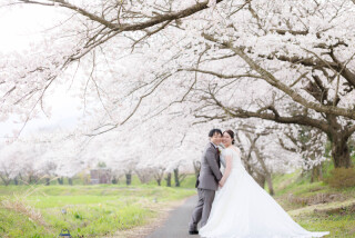 桜ロケーション撮影