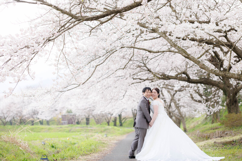 桜ロケーション撮影