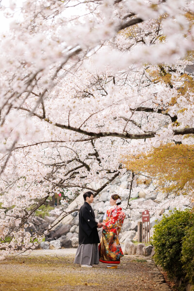 満開の桜とともに
