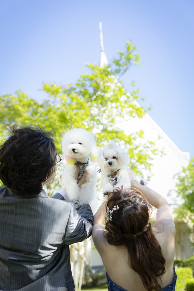 そしてこの一枚。