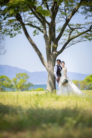 新緑の季節です♪