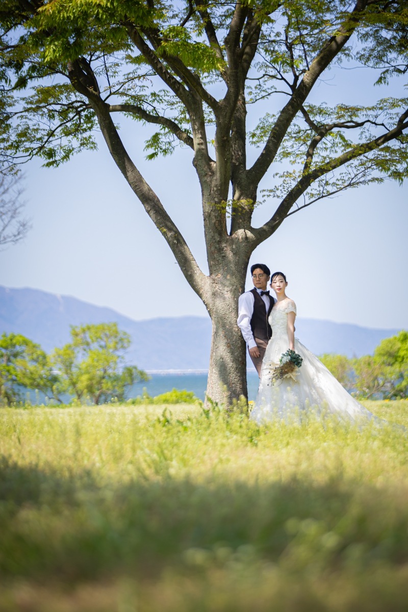 新緑の季節です♪