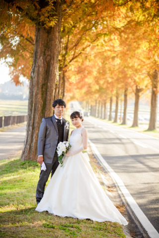 メタセコイヤ並木にて