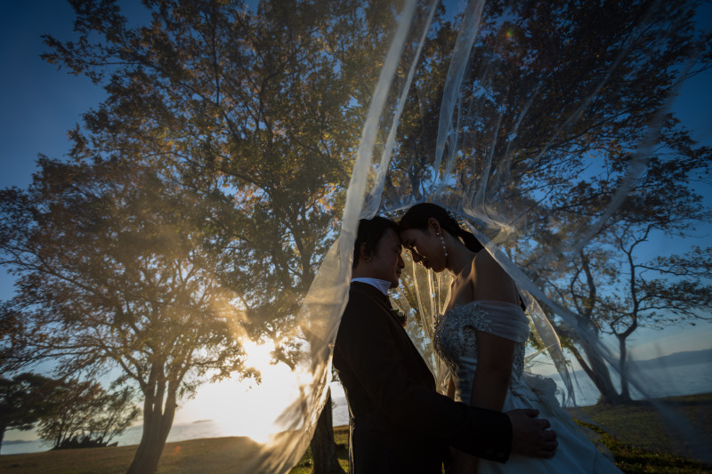 ベールインショット