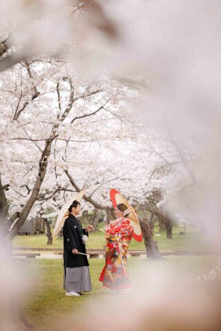 滋賀創寫舘_季節写真