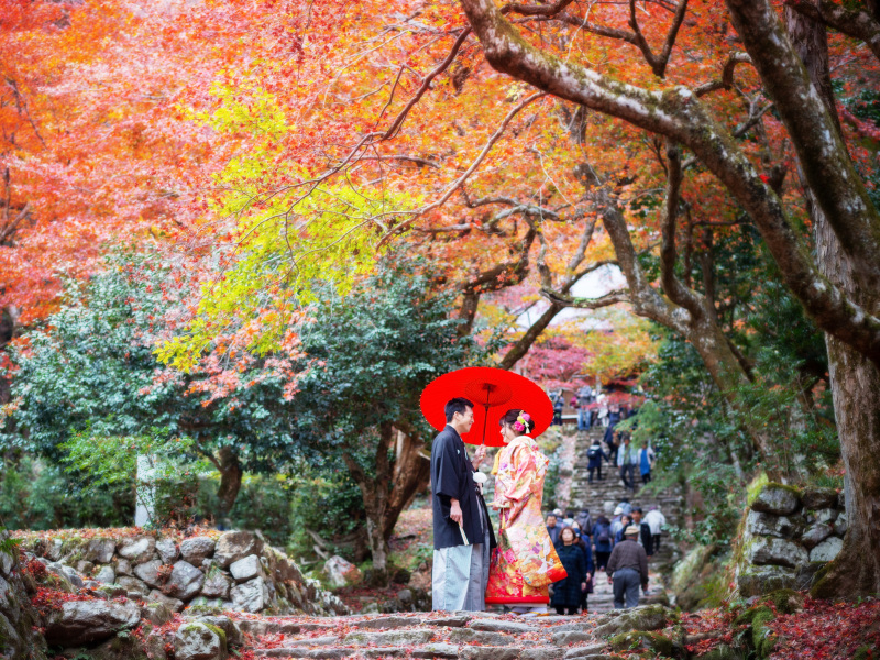 「鶏足寺」紅葉フォトプラン