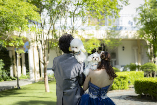 【大切な家族と一緒に】愛犬と叶えるペットフォトウエディングプラン