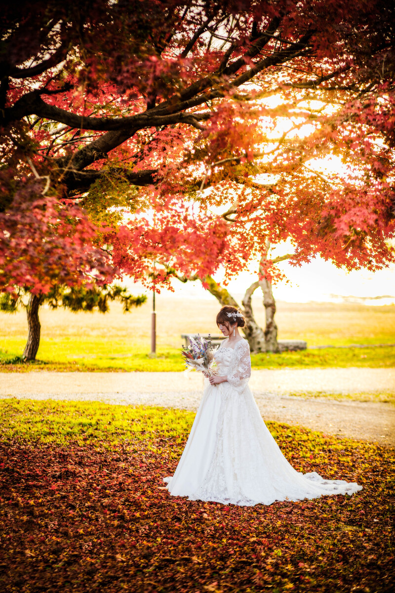 紅葉フォト受付開始。秋だけの特別ロケーションプラン