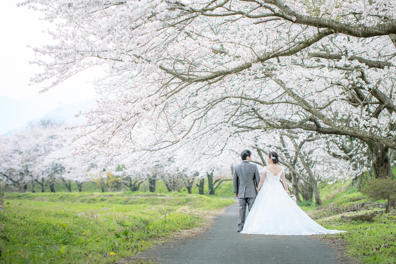【4月撮影|まだ間に合う】桜×和装ロケーション