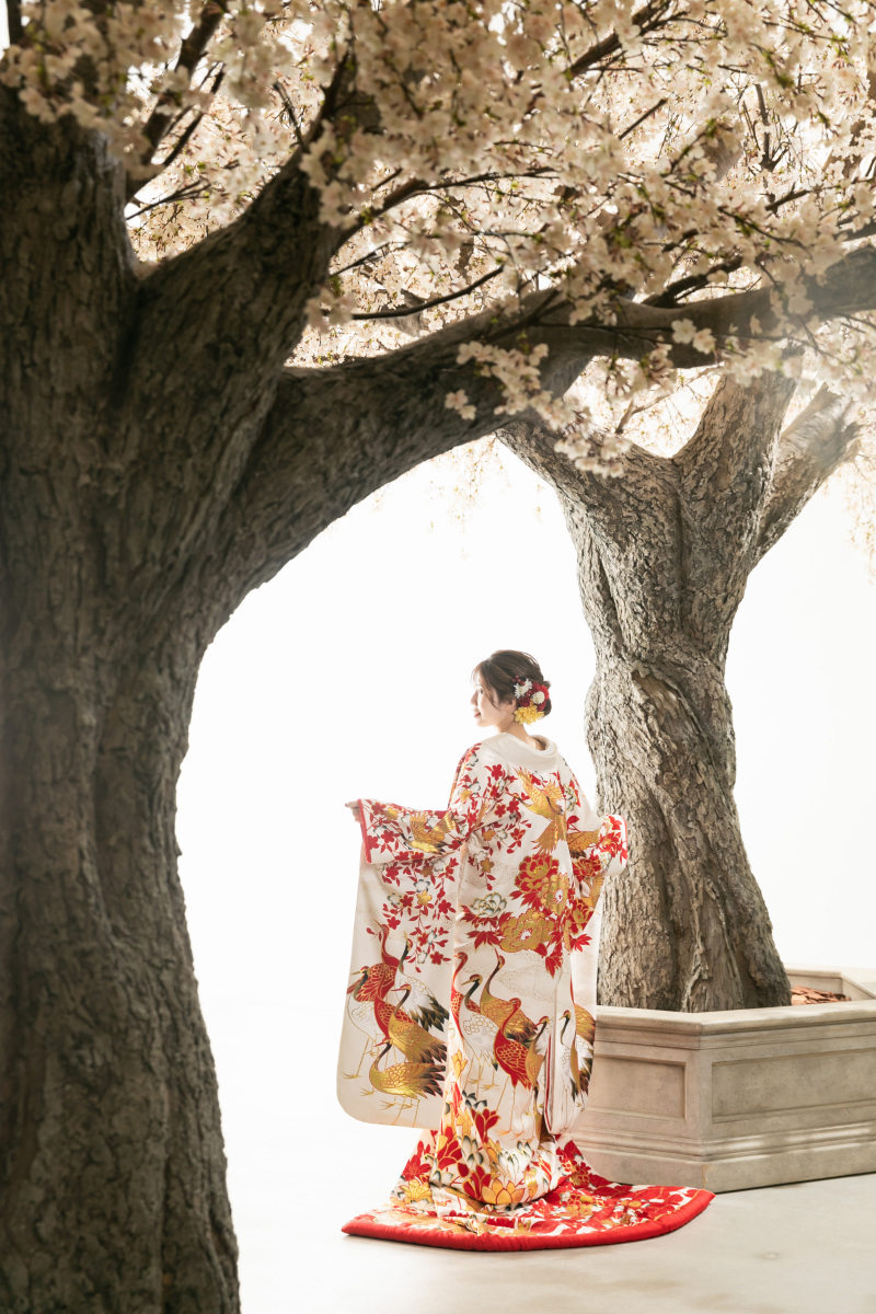 #バックスタイルも