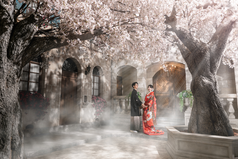 桜からの木漏れ日カット