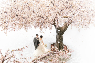 桜をテーマに♪