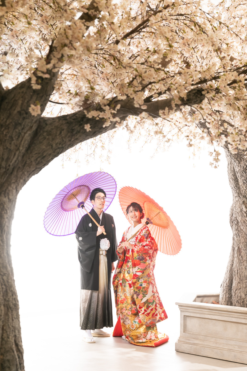 満開の桜の下で