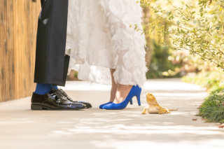 ＃ペットと一緒に