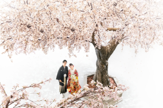 満開の桜の下で♪