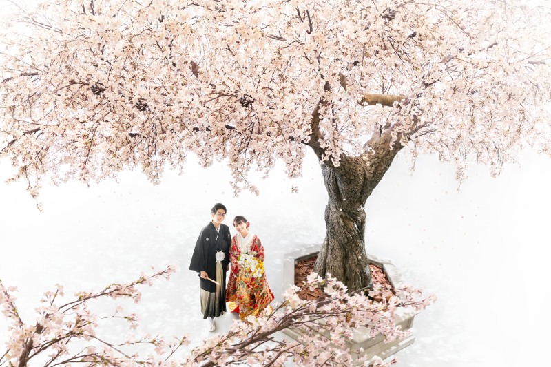 満開の桜の下で♪