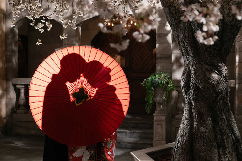 番傘シルエット