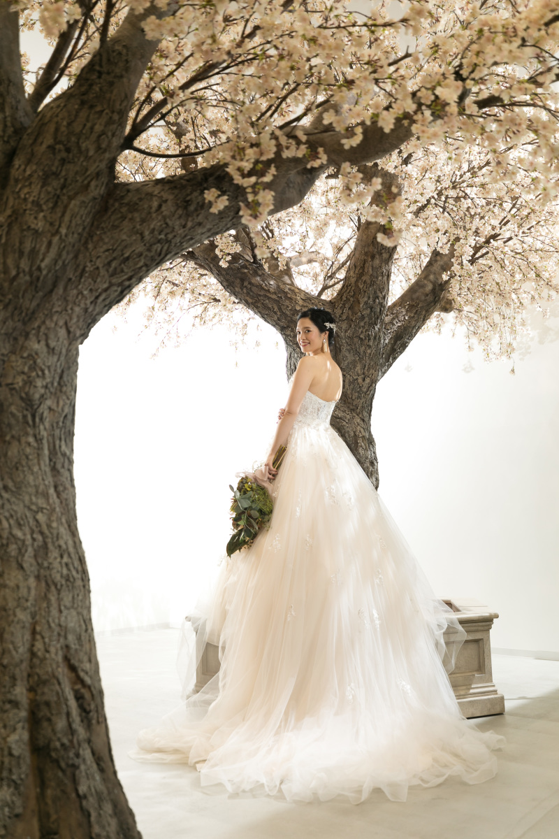 #桜の下でバックショット