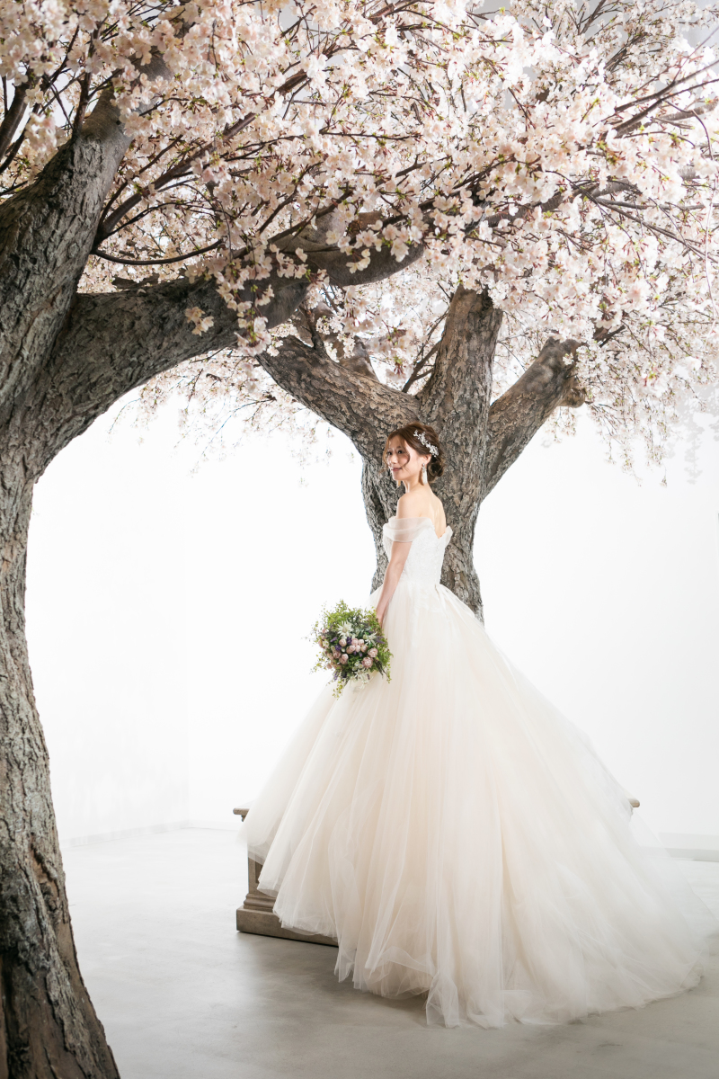 #ふんわりドレス