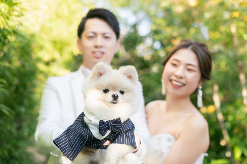 わんちゃんメインカット