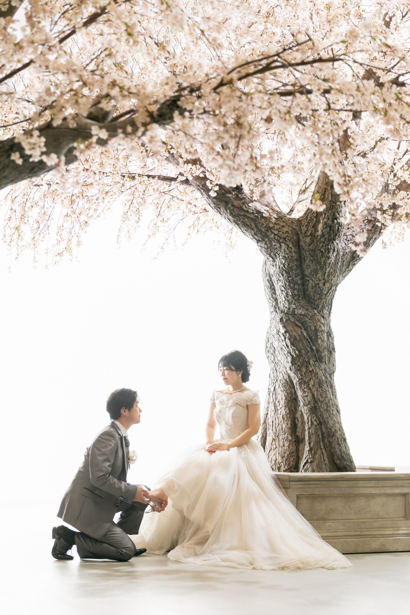 素敵な撮影をありがとうございました!