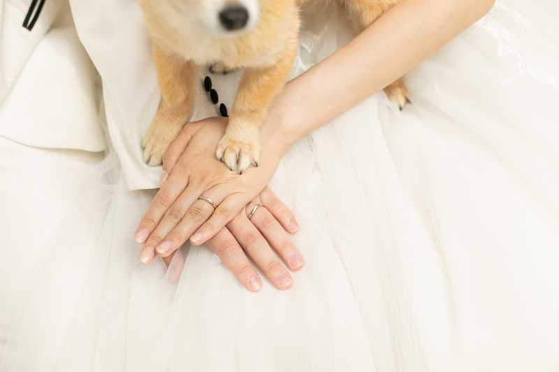 #イメージカット