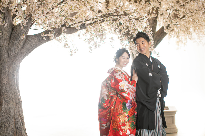 桜セットは色打掛で♪